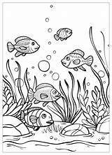 Fish Aquarium Coloring Pages  Dive Into Underwater Fun – MrColoringCom sketch template