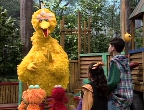 Big Bird's Song | Muppet Wiki | Fandom