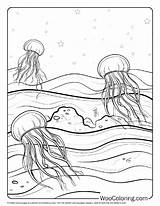 100  Jellyfish coloring Pages Free PDF To Print Woo Coloring sketch template