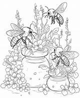 Bee With Flowers coloring Page For Adults 26733070 Vector Art At Vecteezy sketch template