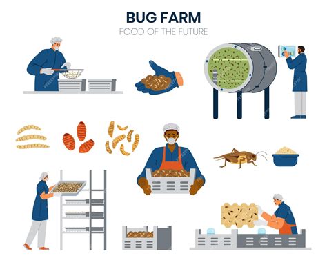 Premium Vector | Bug farming elements vector set farmers insects ...