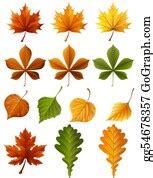 900+ Autumn Leaves Stock Illustrations | Royalty Free - GoGraph