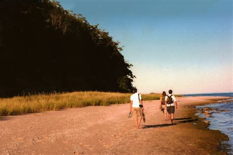 people enjoying a barefoot beach walk on beach shore with gentle ocean tide, people enjoying ...