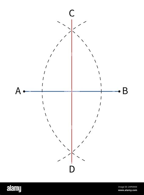 diagram of how to bisect line segment with compass, geometry education. illustration isolated on ...