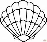 Sea Shell Printable Coloring Sheets sketch template