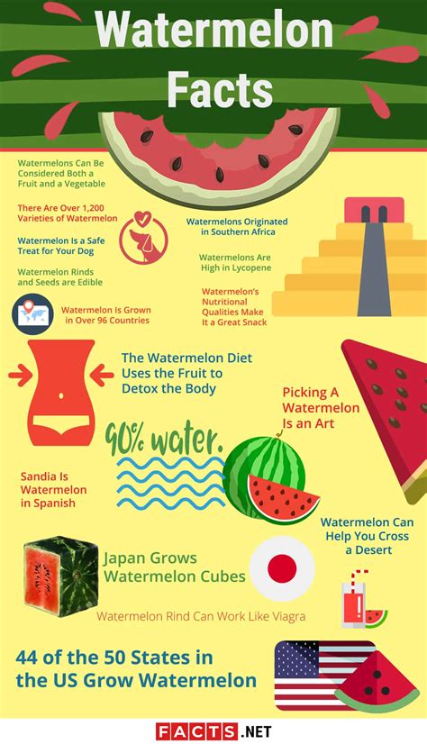 16 Facts about Watermelon - Origin, Diet, Pets, Benefits & More | Facts.net