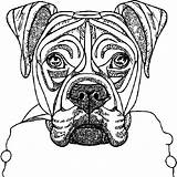 Coloring Pages Of Boxer Dogs sketch template