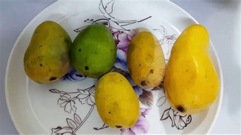 Types of Mangoes in Pakistan - Five Magnificent Pakistani Mangoes - YouTube