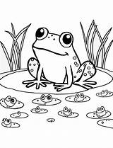 Pond Habitat Coloring Pages sketch template