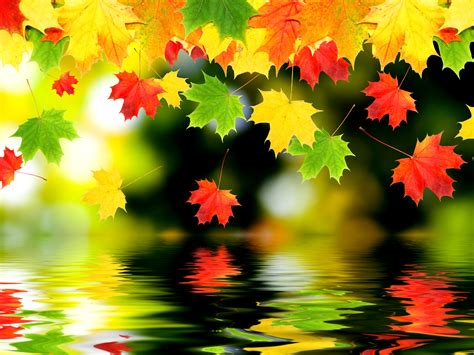 Autumn Leaves Falling - Wallpaper, High Definition, High Quality ...