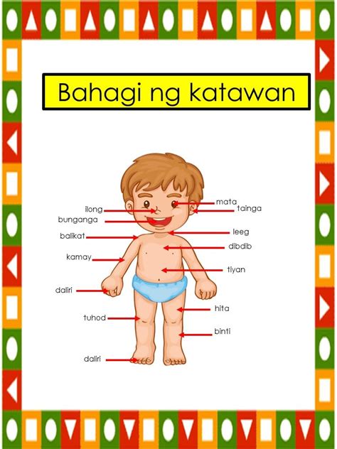 FILIPINO: Mga Bahagi Ng Katawan Diagram Quizlet, 48% OFF