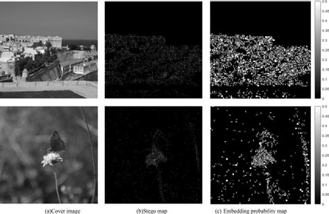 Some examples of the adaptive image steganography. (a) Cover image. (b)... | Download Scientific ...