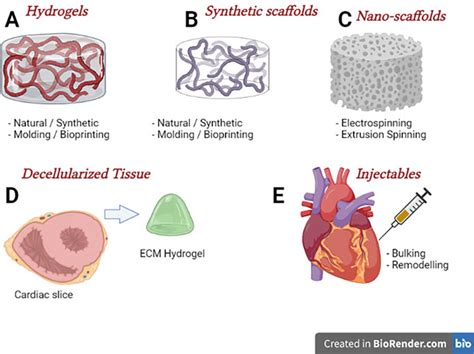 Technologies and materials for cardiac tissue engineering | Download ...