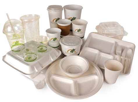 Eco-Friendly products | Biodegradable products, Disposable plates, Disposable