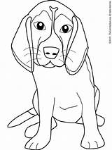Beagle Coloring Page  Audio Stories For Kids Free Pages sketch template