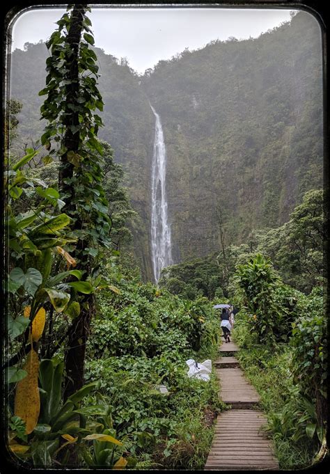 Pipiwai Trail Waimoku Falls Maui, Hawaii in 360 Degrees