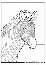 Coloring Pages Realistic sketch template