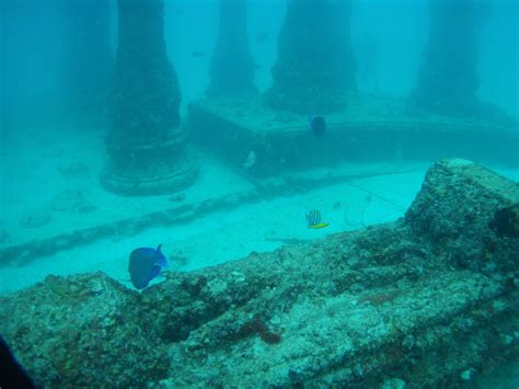 Report from the Florida Zone: Underwater Cemetery