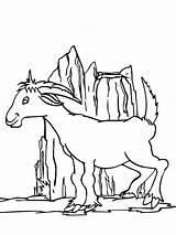 Mountain Goat Coloring Page sketch template