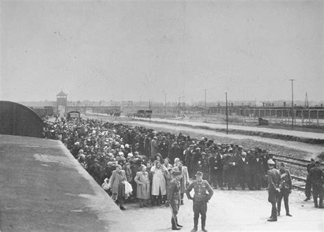 View from atop the train of Jews lined up for selection on the ramp at Auschwitz-Birkenau ...