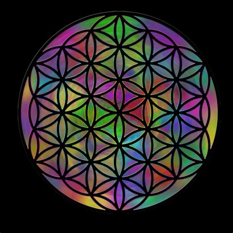 Flower Of Life Free Stock Photo - Public Domain Pictures