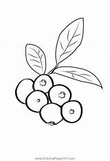 Blueberry 2 Coloring Page For Kids  Free Printable sketch template