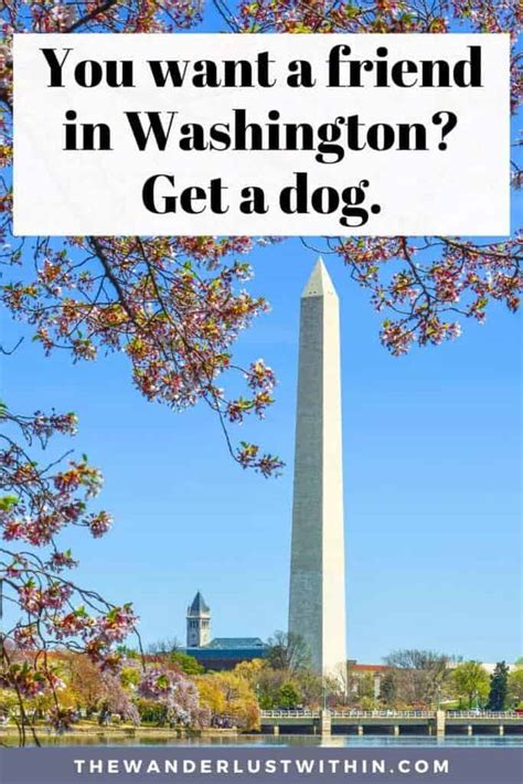 60 Best Washington DC Quotes to Inspire Your Trip to America's Capital ...