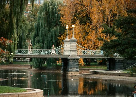 Public Garden bridge and lagoon in 1989 : r/boston