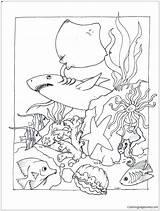 Marine Corps Coloring Sheets Pages sketch template