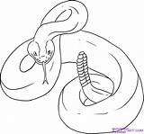 Rattlesnake Coloring Page  Home sketch template