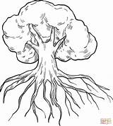 Tree With Roots coloring Page  Free Printable Coloring Pages sketch template