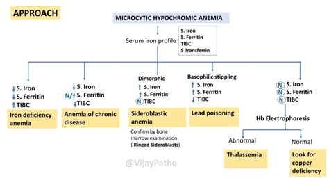 Microcytic Hypochromic Anemia: Causes and Diagnosis - Pathology Made Simple