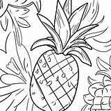Tropical Pineapple Coloring Page  Pagescom sketch template