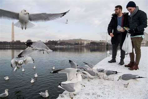 December D.C.-area weather outlook: Near normal temperatures and ...