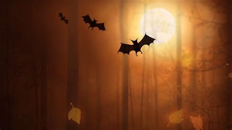 Wallpaper : 2560x1440 px, bats, digital art, fallen leaves, Moon, night ...