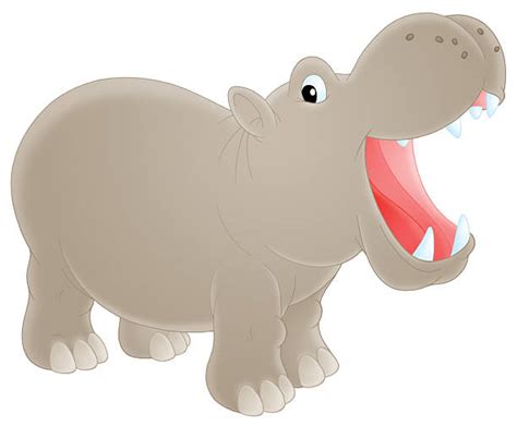 Cartoon Of The Hippo With Mouth Open Illustrations, Royalty-Free Vector Graphics & Clip Art - iStock