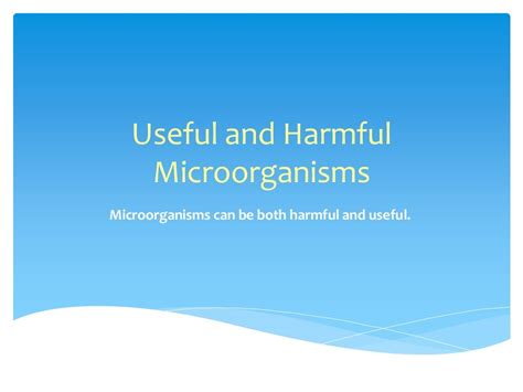 Useful and harmful microorganisms