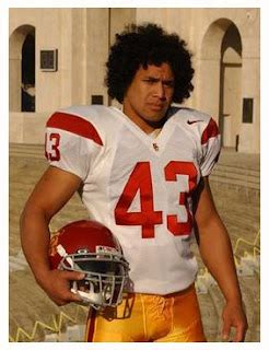 troy polamalu cut his hair