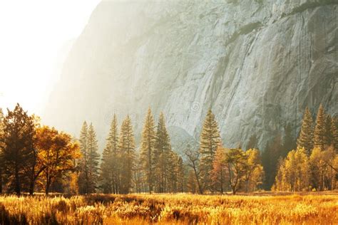 Autumn in Yosemite stock image. Image of america, travel - 54157069