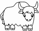 Yak Coloring Pages Printable For Free Download sketch template