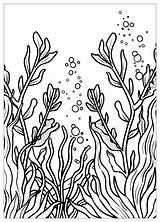 Seaweed Coloring Pages  Coloring Fun For All Ages – MrColoringCom sketch template