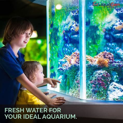 Buy LiquaGen- Aquarium Reef Reverse Osmosis Deionization (RODI) Water Filter System + TDS Meter ...