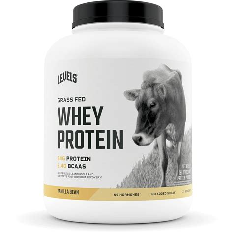 3 Best Grass Fed Whey Protein Powders - Product Reviews