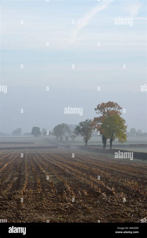 Edington, Somerset, UK . 31st October 2016. UK Weather. View across ...