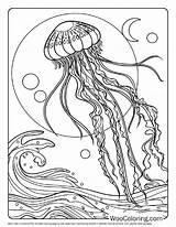 100  Jellyfish coloring Pages Free PDF To Print Woo Coloring sketch template