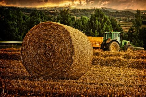 fields, Hay, Nature Wallpapers HD / Desktop and Mobile Backgrounds