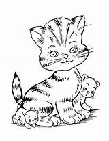 8 Cat Coloring Pages  The Graphics Fairy sketch template
