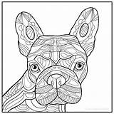 Zentangle French Bulldog Instant Download Coloring Page Printable  sketch template