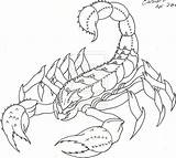 Scorpion Coloring Pages sketch template