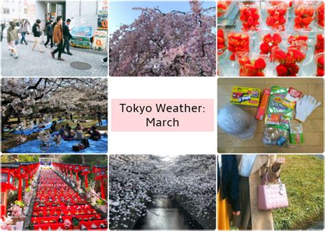 What's the weather like in Tokyo in March? | LIVE JAPAN travel guide